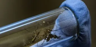 974e1340 948d 11ee B9a7 C91b9dfa91e5