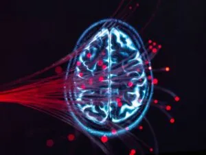 IMG_1780-300x226 Como o cérebro se reconfigura com o envelhecimento e o que isso significa para a nossa cognição