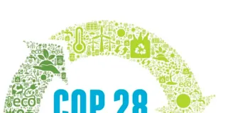 Logo COP 28 Pro Final SEM LEGENDA