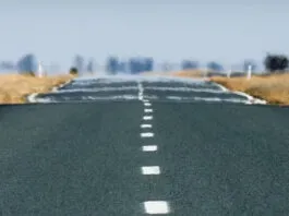 O Que Est Acontecendo SEM LEGENDA 1