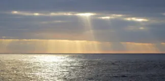 Partes Do Pac Fico Tropical Aqueceram Menos Do Que O Simulado Pelos Modelos Ou A