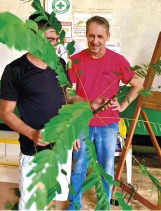 Pesquisador_Ademir_Ruschel__da_Embrapa_Amaz_nia_Oriental Plantação de árvores nativas da Amazônia recupera áreas de preservação permanente no Sudeste do Pará