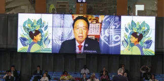 Qu Dongyu Diretor Geral Da FAO