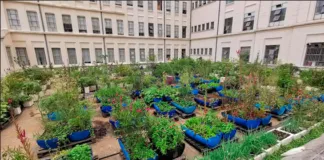 Screenshot 2024 01 02 At 18 37 35 50525.jpg Imagem JPEG 567 × 311 Pixels