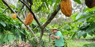 UKBXGN4DD5ERLISU7QVQNRVR3Y