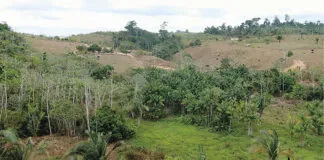 Vista Rea Do Projeto De Assentamento