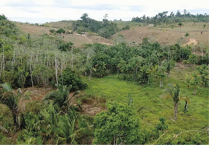 Vista rea do projeto de assentamento