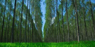 D051d69c F10c 46fe A6b0 B6d92a3bf4eb