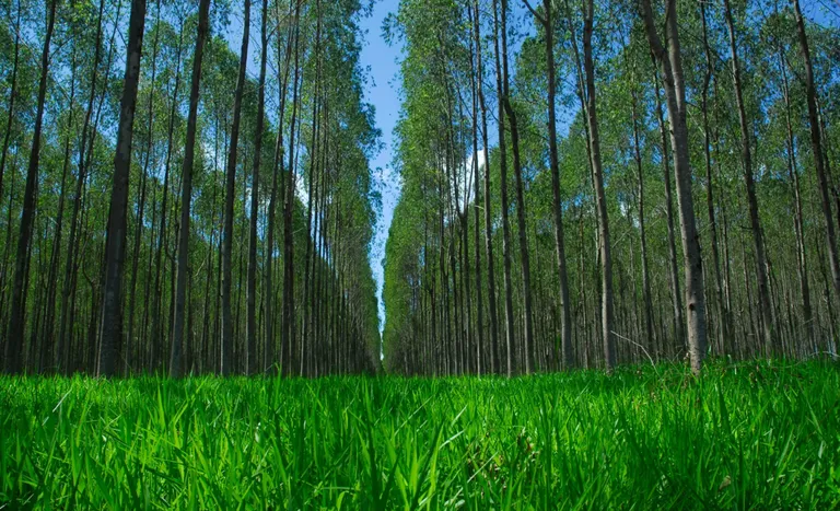 d051d69c f10c 46fe a6b0 b6d92a3bf4eb