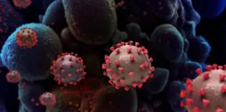 Image1170x530cropped 1