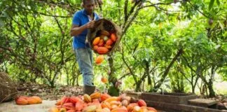 Captura De Tela 2024 02 06 115851