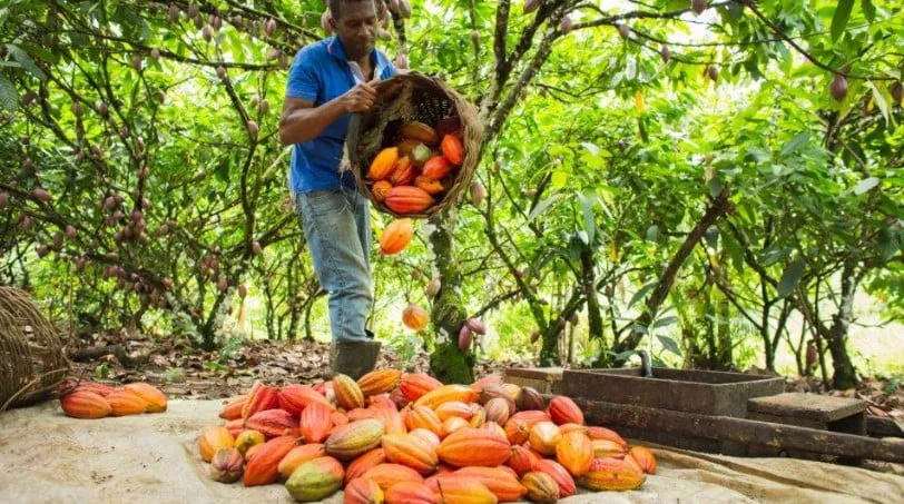 Captura de tela 2024 02 06 115851