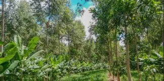 Captura De Tela 2024 02 06 124607