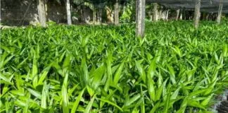 Captura De Tela 2024 02 06 184438