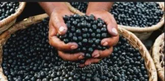 Captura De Tela 2024 02 08 155017