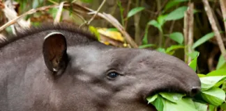 Captura De Tela 2024 02 09 144831