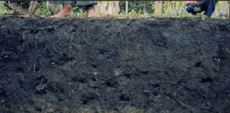 Captura De Tela 2024 02 12 135811