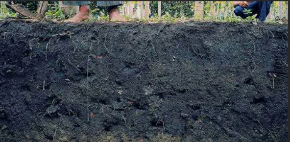 Captura de tela 2024 02 12 135811