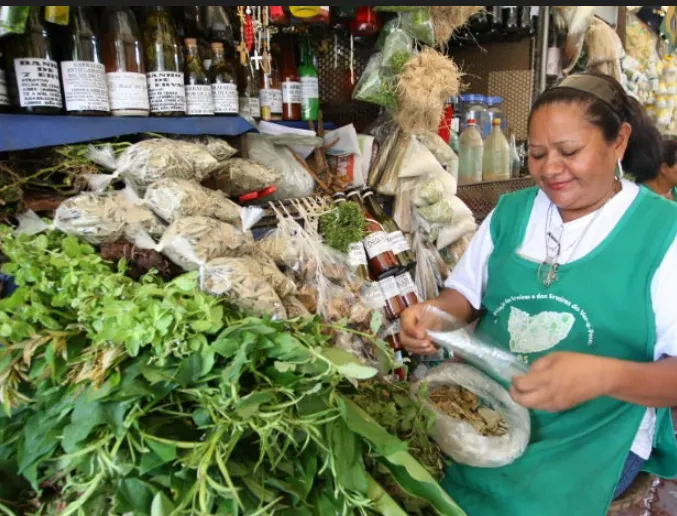 Captura de tela 2024 02 12 152202