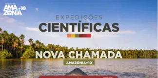 Captura De Tela 2024 02 12 163512