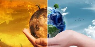 Captura De Tela 2024 02 15 152933