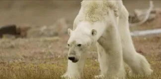 Captura De Tela 2024 02 15 170846