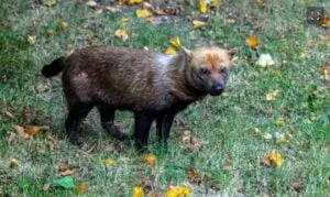 Captura de tela 2024 02 17 122916