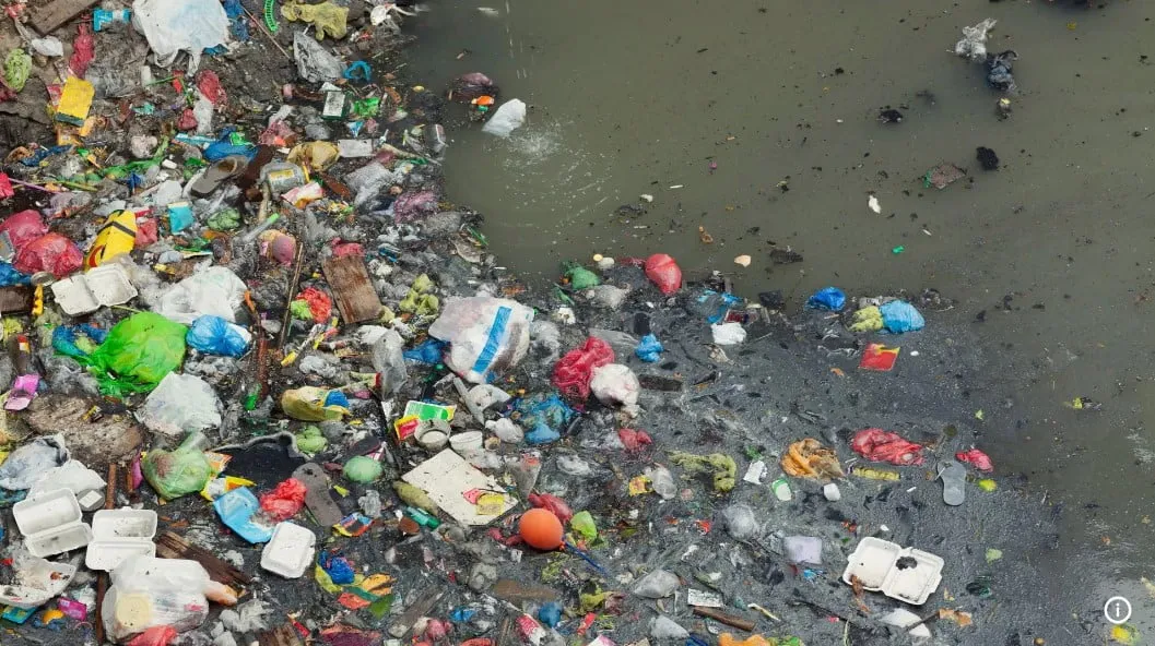 Captura de tela 2024 02 19 105935