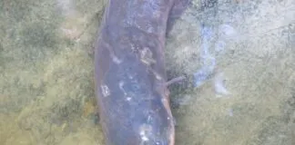 Captura De Tela 2024 02 19 121601