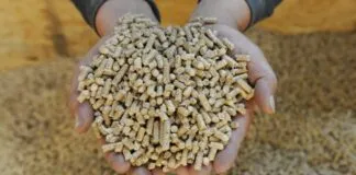 Captura De Tela 2024 02 20 173951