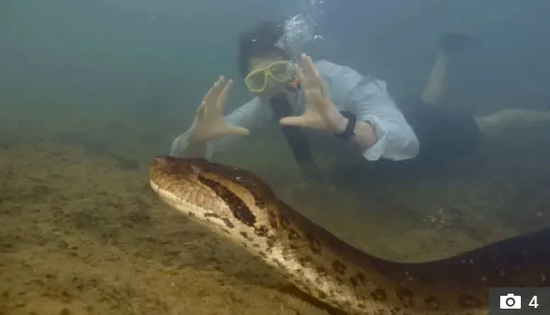 Captura de tela 2024 02 20 192011