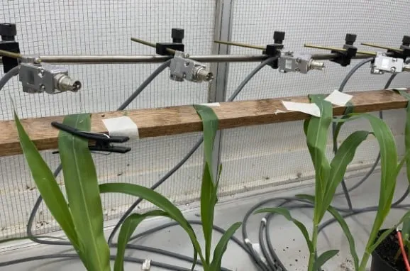 Captura de tela 2024 02 21 100736