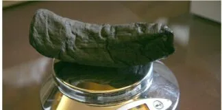 Captura De Tela 2024 02 21 122630