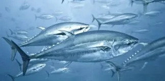 Captura De Tela 2024 02 22 120753