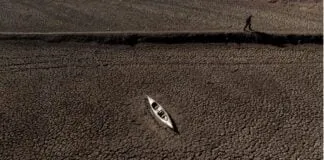 Captura De Tela 2024 02 22 153805