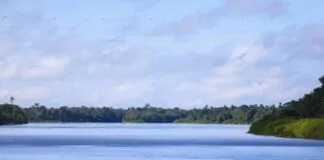 Captura De Tela 2024 02 26 095214