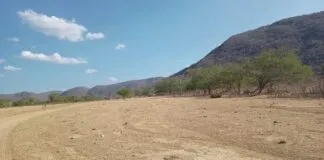 Captura De Tela 2024 02 26 152903