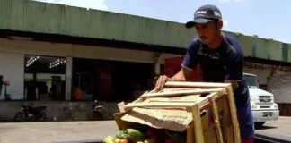 Captura De Tela 2024 02 26 163814