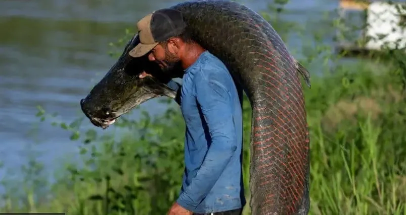 Captura de tela 2024 02 27 151355