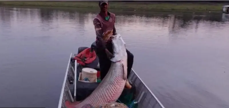 Captura de tela 2024 02 27 153601