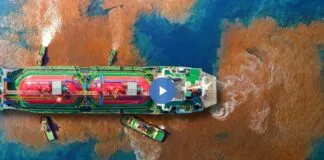 Captura De Tela 2024 02 27 171032