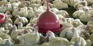 Captura De Tela 2024 02 28 152707