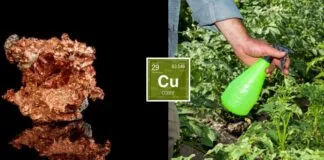 Captura De Tela3 2024 02 02 123703