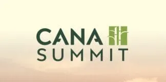 Captura De Tela 2024 03 01 114048