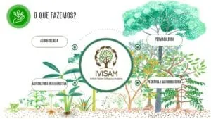 Captura-de-tela-2024-03-03-195818-300x169 IVISAM: Agroflorestas para Sustentabilidade e Segurança Alimentar na Amazônia