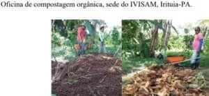 Captura-de-tela-2024-03-03-201308-300x139 IVISAM: Agroflorestas para Sustentabilidade e Segurança Alimentar na Amazônia