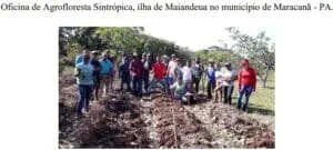 Captura-de-tela-2024-03-03-201420-1-300x135 IVISAM: Agroflorestas para Sustentabilidade e Segurança Alimentar na Amazônia