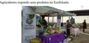 Captura-de-tela-2024-03-03-201713-300x145 IVISAM: Agroflorestas para Sustentabilidade e Segurança Alimentar na Amazônia