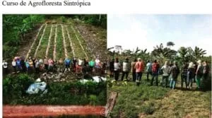 Captura-de-tela-2024-03-03-201852-300x167 IVISAM: Agroflorestas para Sustentabilidade e Segurança Alimentar na Amazônia
