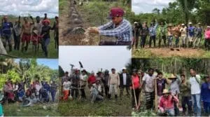 Captura-de-tela-2024-03-03-201949-300x167 IVISAM: Agroflorestas para Sustentabilidade e Segurança Alimentar na Amazônia